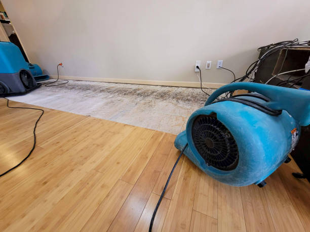 Professional Flood Damage Cleanup technician working in Lake Crystal, MN